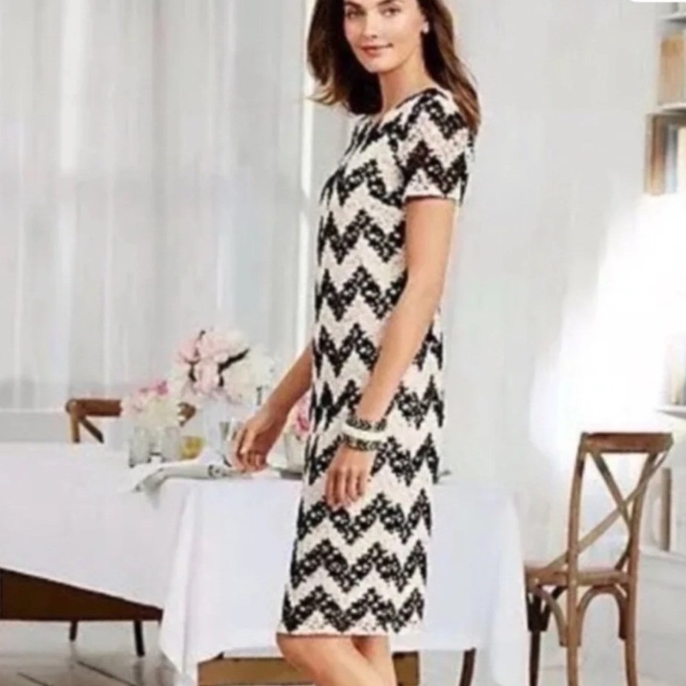 Talbots Chevron Lace Shift Dress Black White 8P NEW‎
